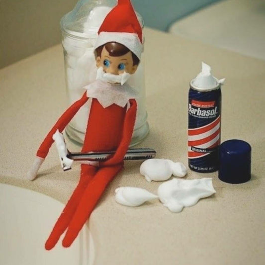 Elf on the Shelf Ideas 2024