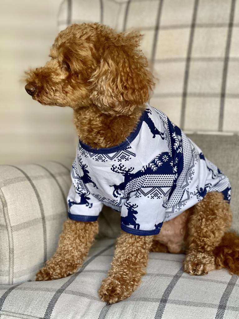 Dog Christmas Jumper